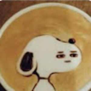 Meet your Posher, Logan